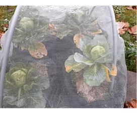 Andere netten & dekzeilen (Agro) Insectengaas - Rol - 3mx100m - 110g/m2 - Transparant